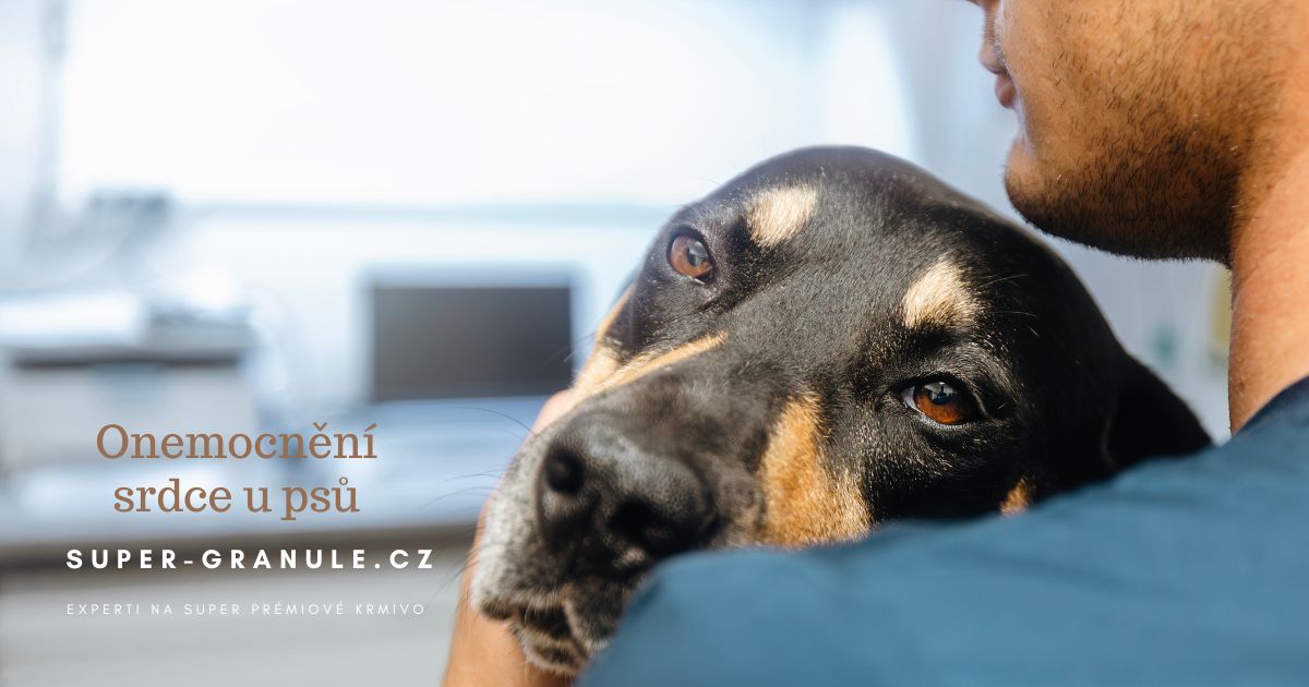 onemocneni-srdce-u-psu (4)